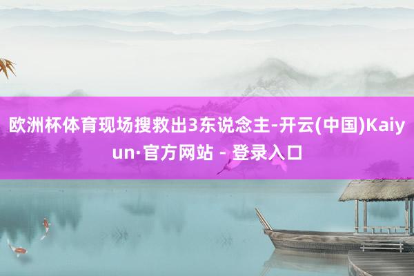 欧洲杯体育现场搜救出3东说念主-开云(中国)Kaiyun·官方网站 - 登录入口