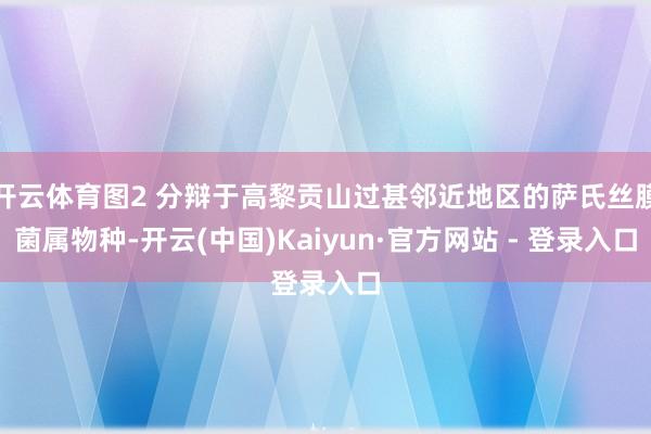 开云体育图2 分辩于高黎贡山过甚邻近地区的萨氏丝膜菌属物种-开云(中国)Kaiyun·官方网站 - 登录入口