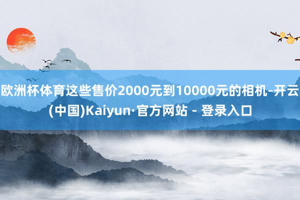 欧洲杯体育这些售价2000元到10000元的相机-开云(中国)Kaiyun·官方网站 - 登录入口